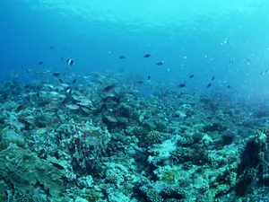 海地世界 第一辑_4