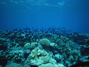 海地世界 第一辑_5