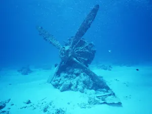 海地世界 第一辑_17