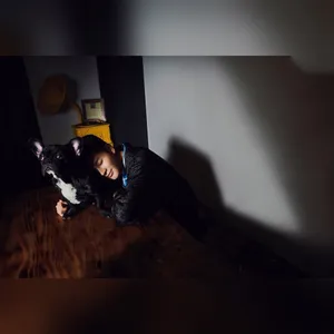 王嘉宠物光影写真图片