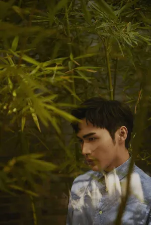 张彬彬儒雅文艺范时尚杂志写真图片_5