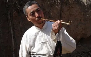范明《双枪李向阳》剧照图片_5