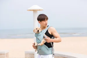 成毅与爱犬花样美图