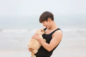 成毅与爱犬花样美图