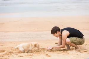 成毅与爱犬花样美图_2