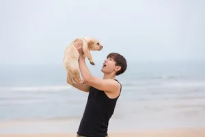 成毅与爱犬花样美图_5