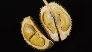 高清榴莲图片大全_3