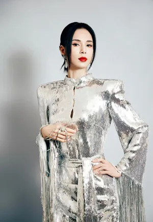 李若彤银色亮片裙优雅时尚写真图片