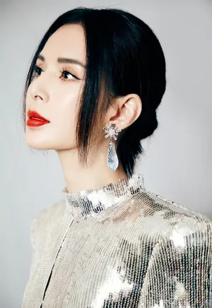 李若彤银色亮片裙优雅时尚写真图片_3