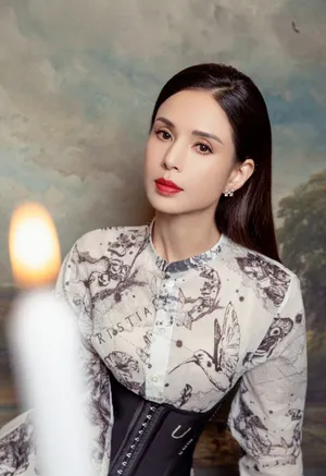李若彤典雅绣花裙写真图片