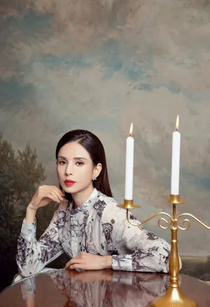 李若彤典雅绣花裙写真图片_2