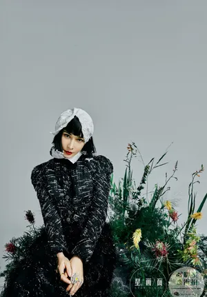 卢靖姗花呢宫廷袖优雅写真图片