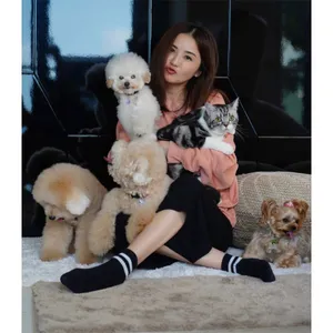蔡卓妍三只爱犬庆生幸福可爱美照图片_4