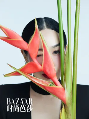 钟丽缇芭莎十一月新刊写真图片_1
