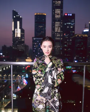 张柏芝仙鹤刺绣旗袍性感图片