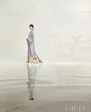 赵雅芝旗袍装古典韵味性感图片_2