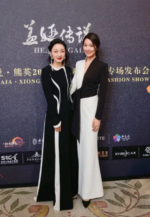 李亚男高开叉礼服长裙性感图片_4