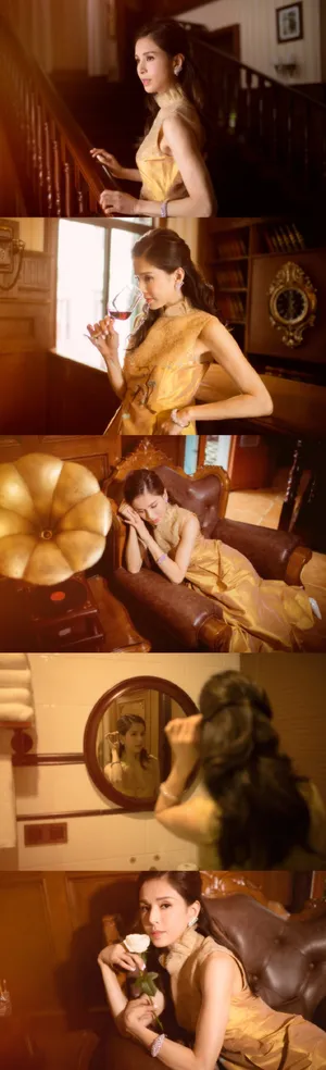 李若彤复古长裙优雅性感图片_5