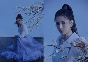 李若彤杂志写真图片