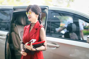 赵雅芝优雅气质机场街拍图片_3
