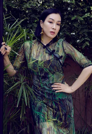 钟丽缇修身纱裙秀长腿气质写真第1张