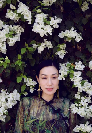 钟丽缇修身纱裙秀长腿气质写真_7