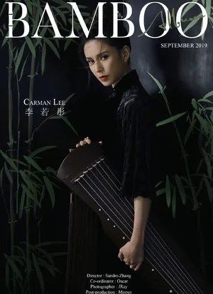 李若彤竹林侠女范性感图片