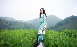 莫文蔚龙井茶园清新靓丽图片_3