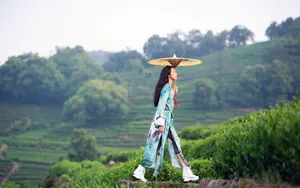 莫文蔚龙井茶园清新靓丽图片_8