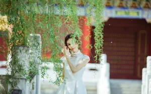 李若彤性感图片_5