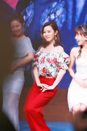 佘诗曼《延禧攻略》发布会图片_5