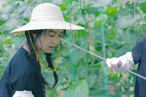 薛凯琪《完美餐厅》甜美剧照图片_2