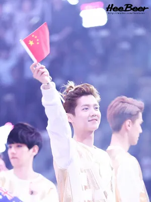 鹿晗受邀成龙慈善演唱会手举中国旗帜帅气满分_12