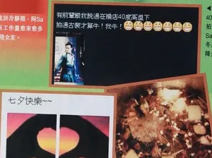 阿Sa住廉价酒店 陪玩陪睡防陈伟霆出轨 热门图片合集_3