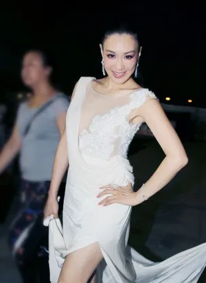 北京时尚盛典 钟丽缇女神华贵典雅艳压群芳_4