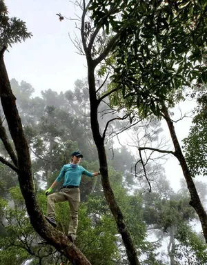 SHE三人合体相约登山美照图片_5