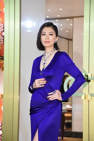 贾静雯开衩礼服修长美腿艳丽美照图片_2