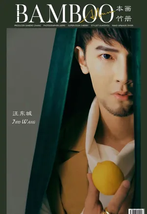 汪东城蓄须复古大片写真图片_8