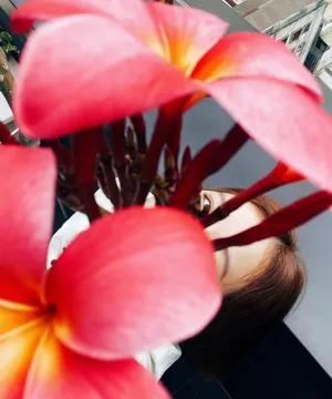 宋芸桦优雅靓丽写真图片