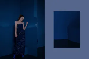 陈乔恩时尚封面大片写真图片_5