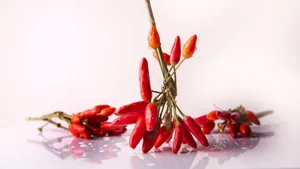 辛辣的辣椒图片_4