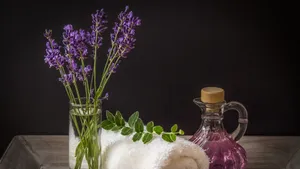 紫色薰衣草图片大全_10