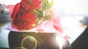 高清红色玫瑰花图片大全_3
