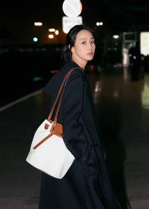 张钧甯酷美机场街拍图片