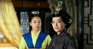 吴映洁《陆贞传奇》可爱呆萌丹娘图片_5