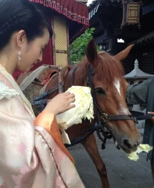 兰陵王曝花絮照 冯绍峰林依晨搞怪卖萌_6