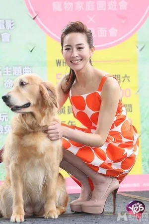 张钧甯发布会图片 美丽长裙惊艳亮相