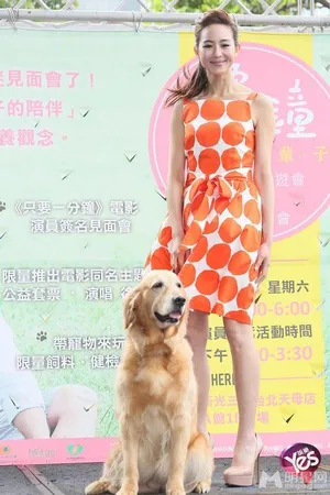 张钧甯发布会图片 美丽长裙惊艳亮相