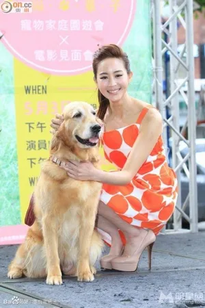张钧甯发布会图片 美丽长裙惊艳亮相_7