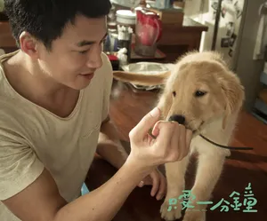 何润东《我的男友和狗》剧照海报图片
